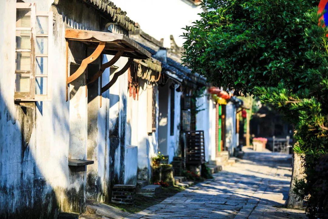 蓝点的冒险